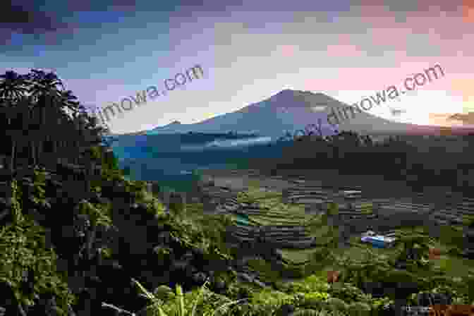 A Breathtaking View Of Canggu's Iconic Rice Paddies With The Towering Mt. Agung In The Background Ginger Tea Honey: A Good Time In Canggu Bali While Mt Agung Rumbles In The Background