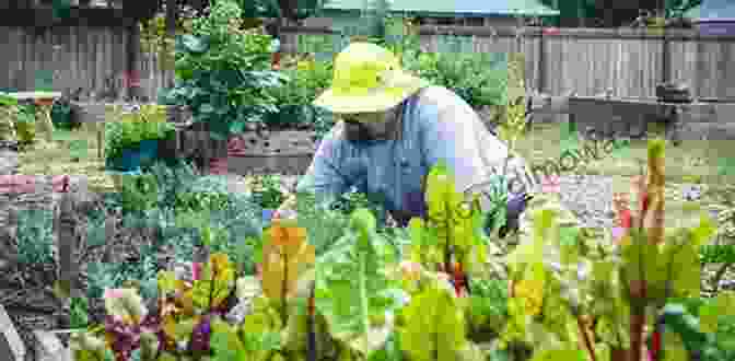 Harvesting And Preserving The Bounty From Raised Bed Gardens Raised Bed Gardening Simplified : Raised Bed Gardening Simplified (14)