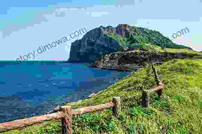 Jeju Island Coastline American Foreigner: Experiencing South Korea