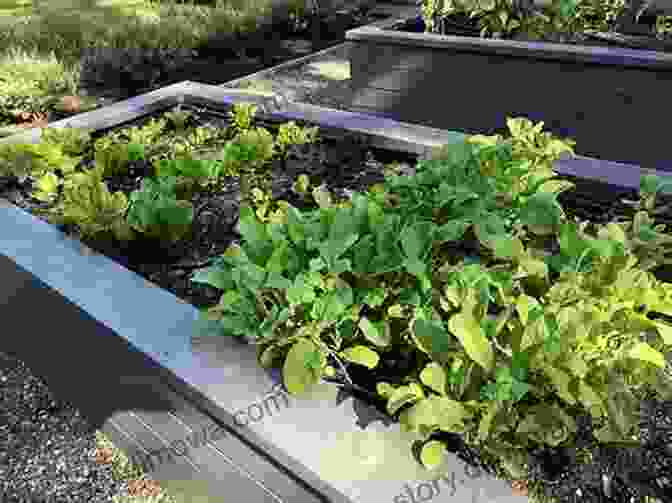 Selecting And Growing Thriving Crops In Raised Beds Raised Bed Gardening Simplified : Raised Bed Gardening Simplified (14)