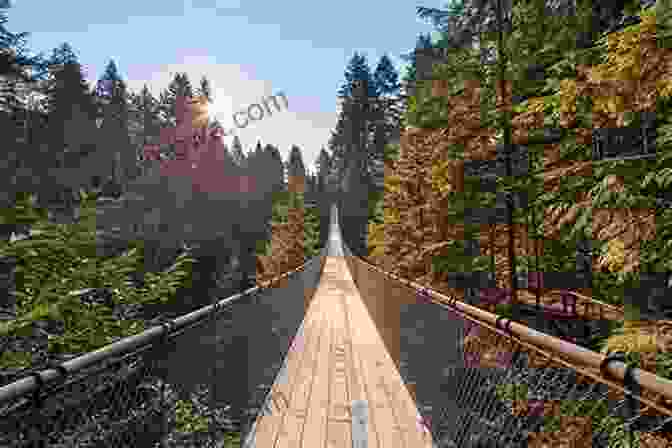 Thrill Seekers Crossing The Capilano Suspension Bridge Vancouver Its Environs: Travel Adventures