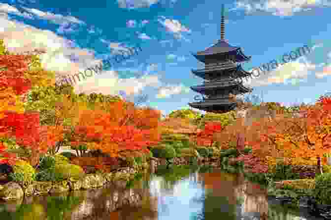 Traditional Japanese Temple Lonely Planet Best Of Tokyo 2024 (Travel Guide)