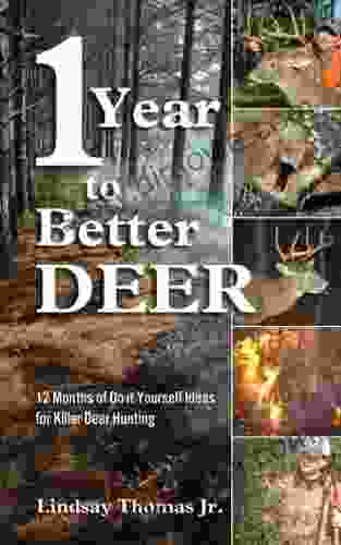 One Year To Better Deer: 12 Months Of Do It Yourself Ideas For Killer Deer Hunting