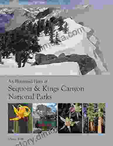 An Illustrated Flora Of Sequoia Kings Canyon National Parks: And Adjacent Southern Sierra Nevada (eBook March 2024 Tenth Version)