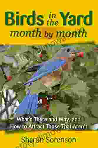 Birds In The Yard Month By Month: What S There And Why And How To Attract Those That Aren T