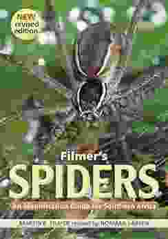 Filmer S Spiders: An Identification Guide For Southern Africa