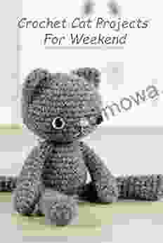 Crochet Cat Projects For Weekend: Adorable Pattern For Beginners To Crochet