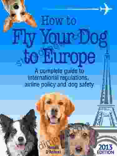 How To Fly Your Dog To Europe