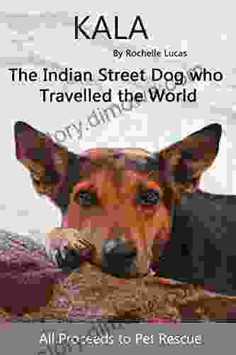 Kala: The Indian Street Dog Who Travelled The World