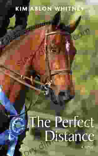 The Perfect Distance: A Novel