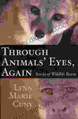 Through Animals Eyes Again: Stories Of Wildlife Rescue