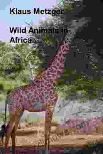 Wild Animals In Africa Klaus Metzger